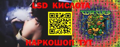 ALPHA PVP Новозыбков
