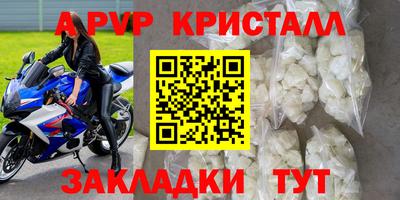 стаф Новокубанск