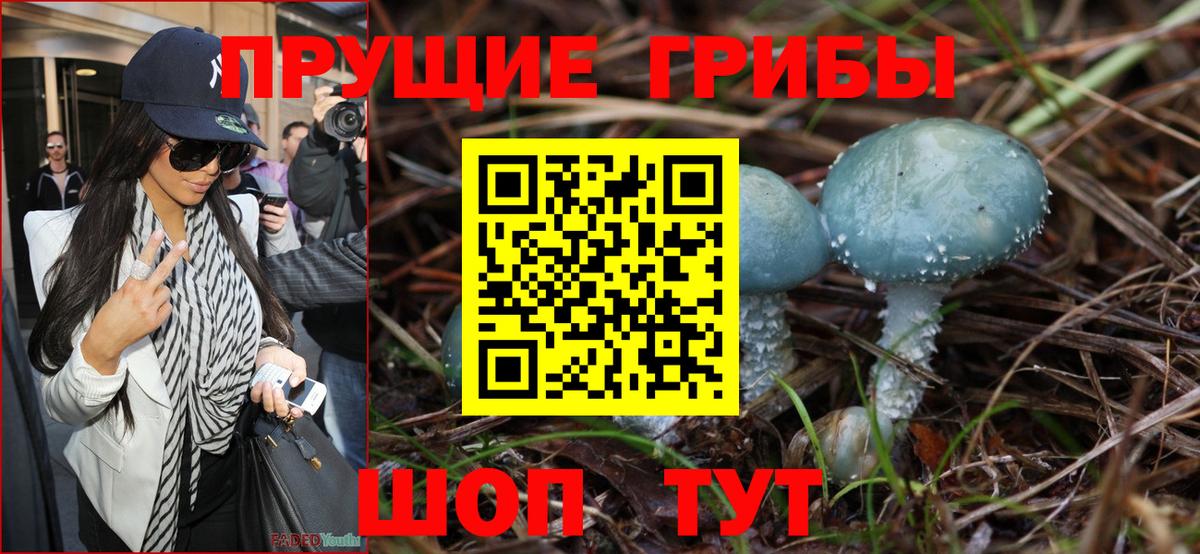 Псилоцибиновые грибы GOLDEN TEACHER  Вход с VPN  Кимовск 